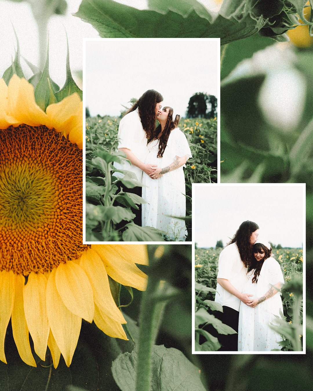 Lovestory Pregnancy Announcement Among the Sunflowers of the Wooden Shoe Tulip Farm — photograph 22 of 39